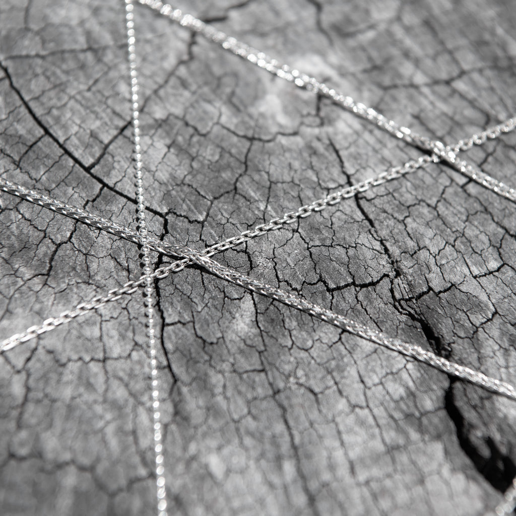 Silver chain on a textured leaf surface