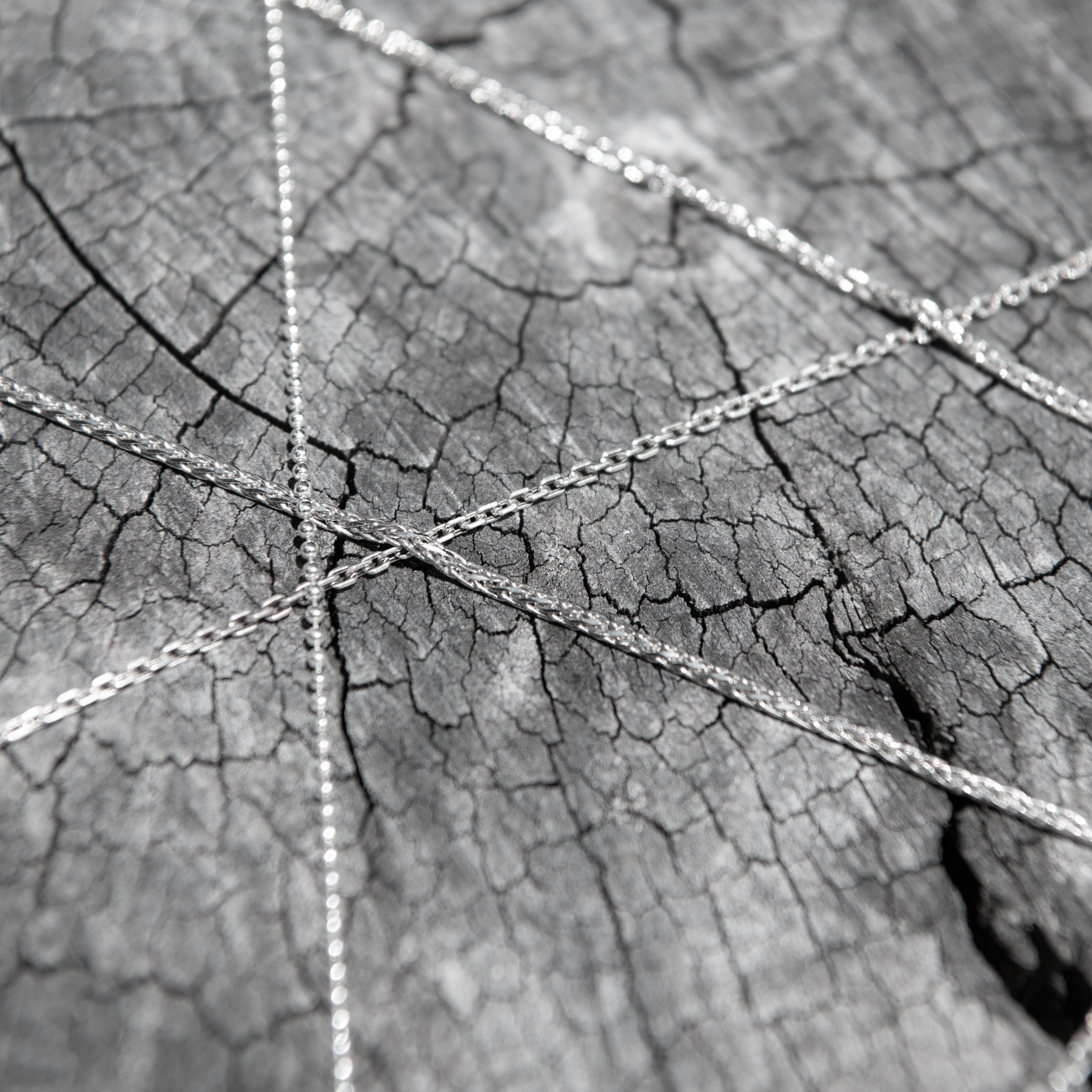 Silver chain on a textured leaf surface
